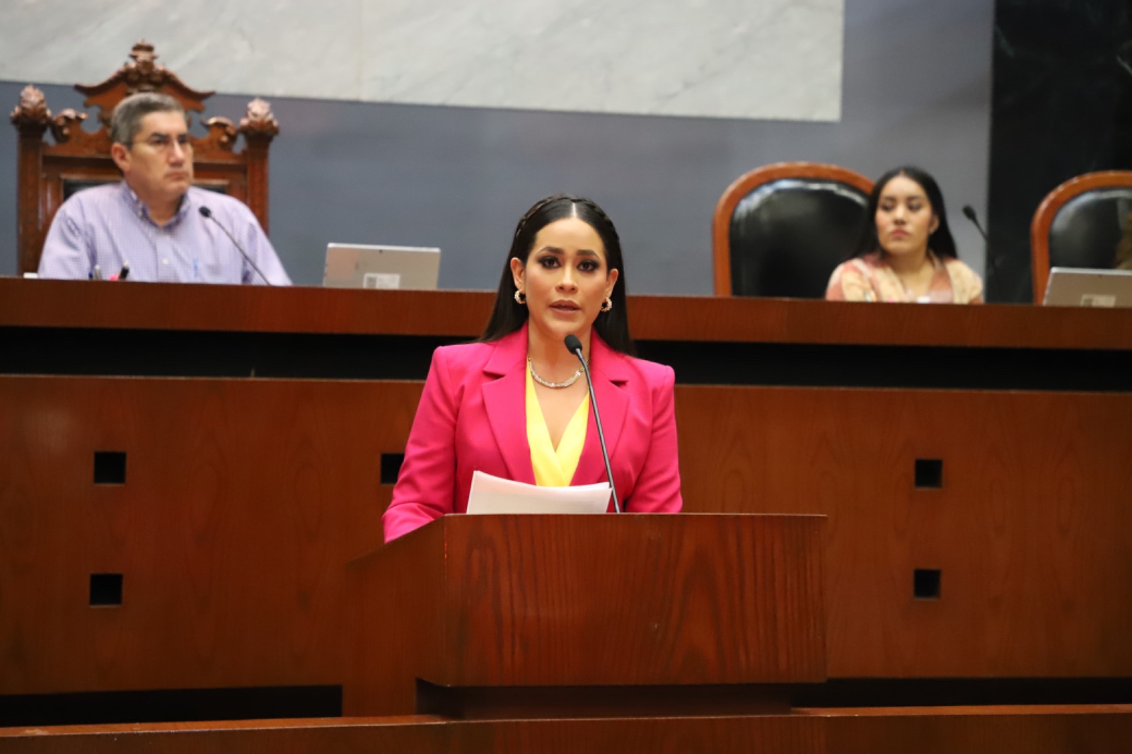 Propone Diputada Citlali Calixto La Ley De Consulta A Las Personas Con