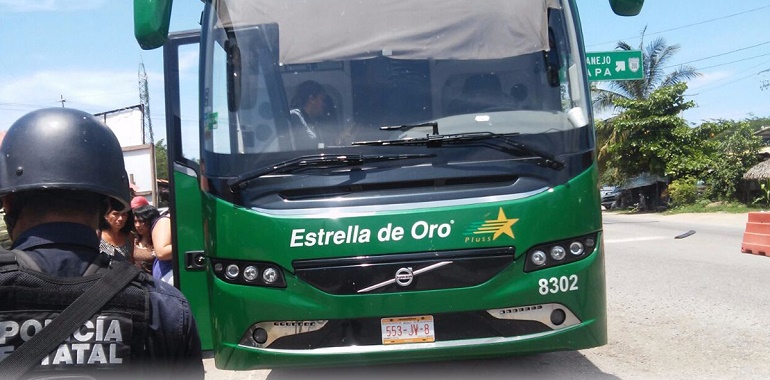 Asegura presunta marihuana en autobús de pasajeros