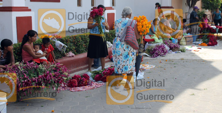 flores_costa_chica_dia_muertos-2