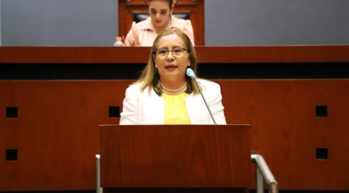 Analizan propuesta en el Congreso para la creación del Instituto de Lenguas Indígenas