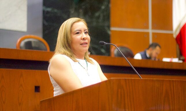 Proponen incorporar la “violencia reproductiva” en la ley de acceso de las mujeres a una vida libre de violencia