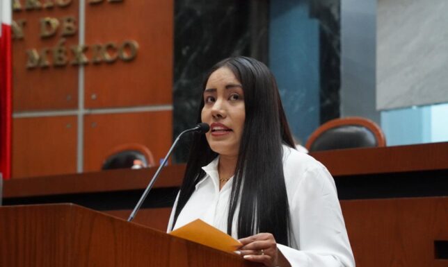 Demanda Jennyfer García Lucena se revise la operación del programa Transporte Violeta