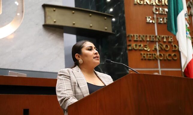 Propone diputada promover reforestaciones con árboles endémicos