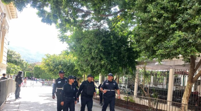 Implementa Evelyn Salgado operativo de seguridad en Guerrero con motivo de las fiestas patrias