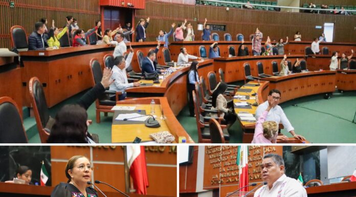 Aprueba el Congreso reforma para reconocer la “Discapacidad Intelectual” y que reciba la atención adecuada