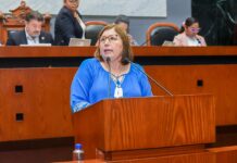 Analizan reconocer la salud mental como una prioridad sanitaria para fortalecer su atención en Guerrero
