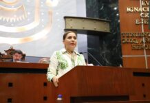 Pide Diputada que Ayuntamientos destinen recursos para la preservación del Jaguar