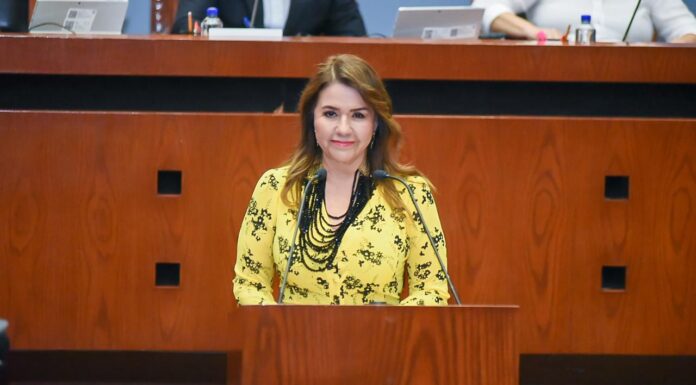 Propone Diputada garantizar personal especializado en Salud Mental en los 85 Municipios de Guerrero