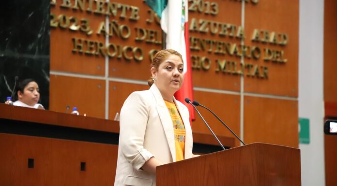 Pide Diputada que se reactive la Red estatal de bibliotecas públicas en Guerrero