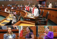 El Congreso de Guerrero fortalece el marco jurídico contra la cohabitación forzada