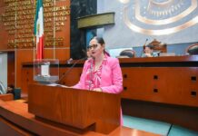 Diputada impulsa lenguaje incluyente y Derechos humanos en Ley Orgánica Municipal