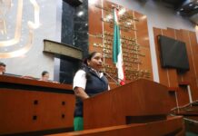Propone Diputada reconocer en la constitución el régimen de Municipios indigenas y Afromexicanos