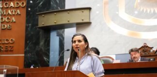 Diputada propone reformar Ley de obras públicas para garantizar infraestructura resiliente en Guerrero