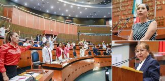 Congreso de Guerrero aprueba reformas para garantizar y proteger el derecho a amamantar en espacios públicos