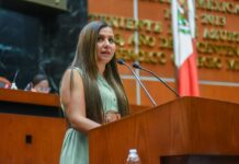 Propone Diputada iniciativa para regular los centros de convivencia familiar supervisada
