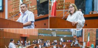 Piden diputados informe pormenorizado sobre la atención a la salud mental